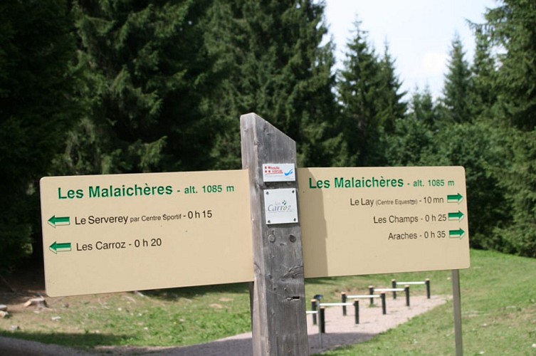 Fitness en lichaamsbeweging circuit