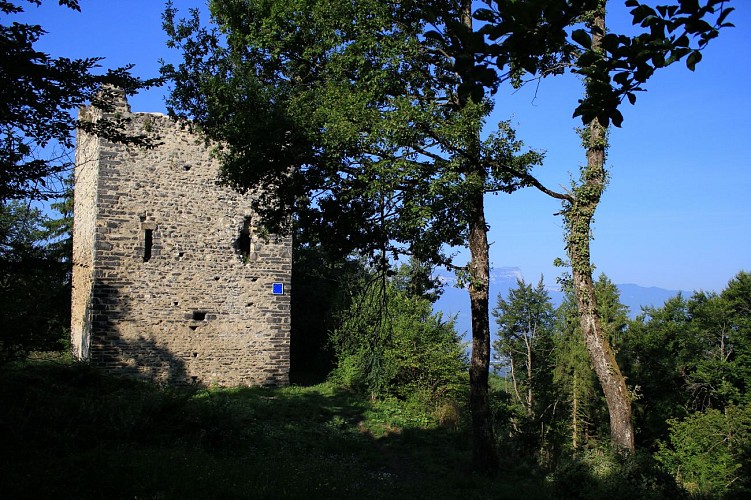 A l'école de l'archéologie
