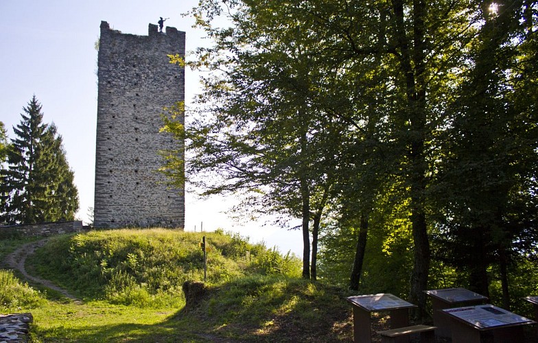 A l'école de l'archéologie