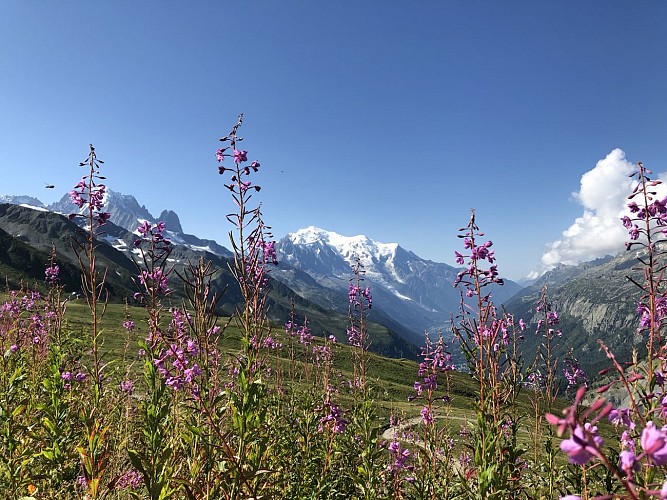 Télécabine de Balme - Charamillon