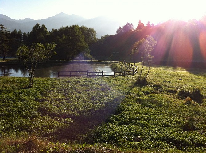 Recreation area - Les Léchères