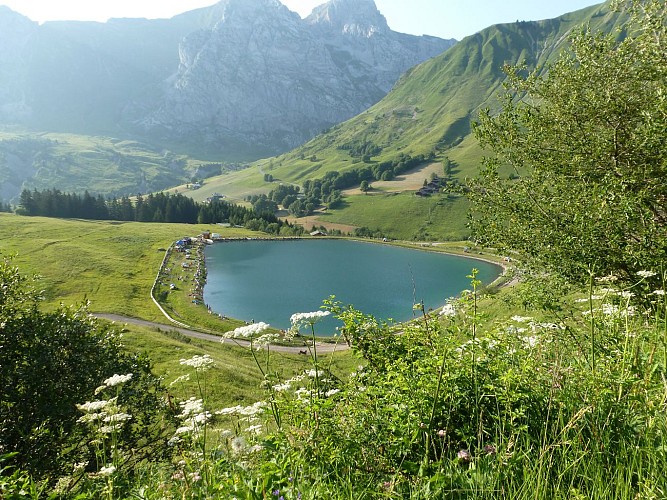 Picknickplatz / Grillplatz am See "Lac de la Cour"