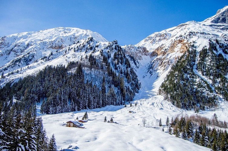 Le Pont de Gerlon: caminata con raquetas de nieve por un sendero
