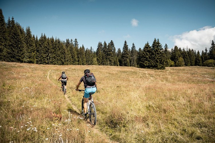 Sito VTT/FFC Cross country