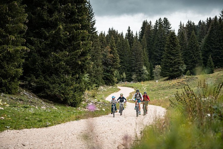 Piste VTT/VTC Savoie Percorso scorrevole