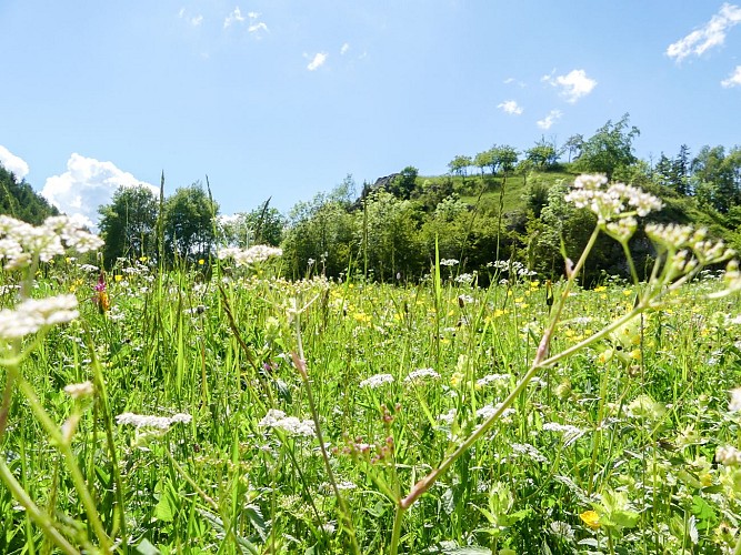 Les Couais (petite boucle)