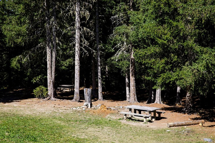 Zona de picnic del plan de la Croix