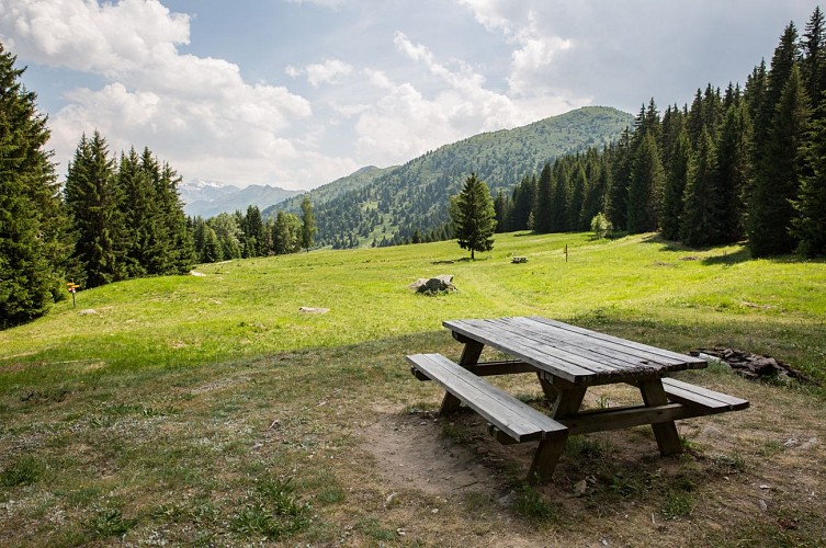 Picnic area of Le plan des Danses