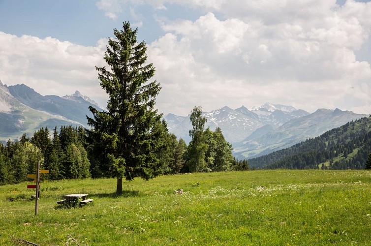Picnic area of Le plan des Danses
