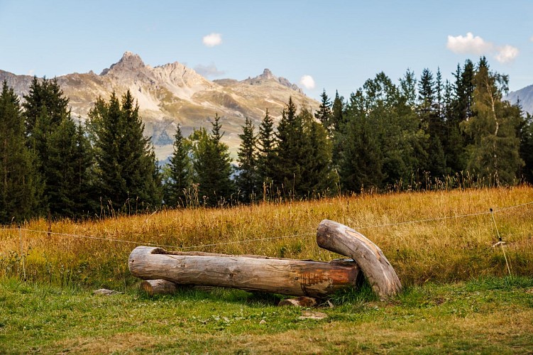 Aire de pique-nique du plan des Danses