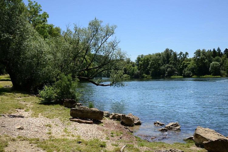 Hike " Mont Olivet" from Neuville-sur-Ain