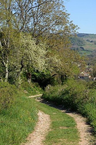 Sentier "la Colombière Neuville - Montigneux" à Poncin