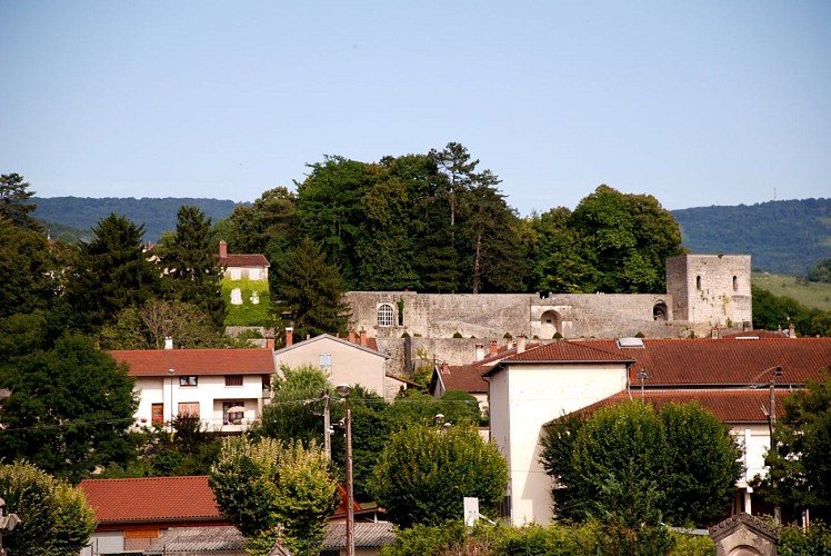 Sentier "Le château - Avrillat" à Poncin