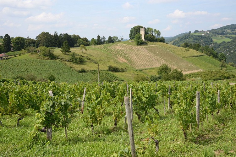 Sentier "Breignes - Mérignat" à Poncin