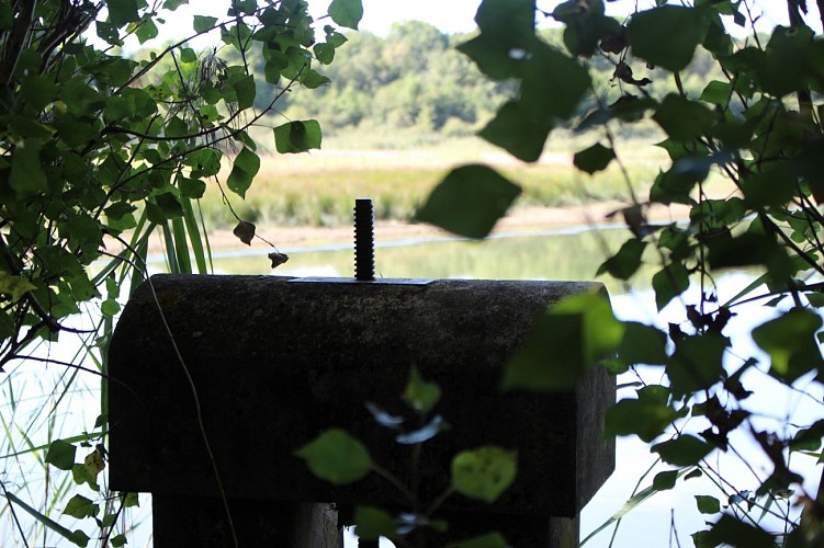 Observatorium der Domaine de Vernange