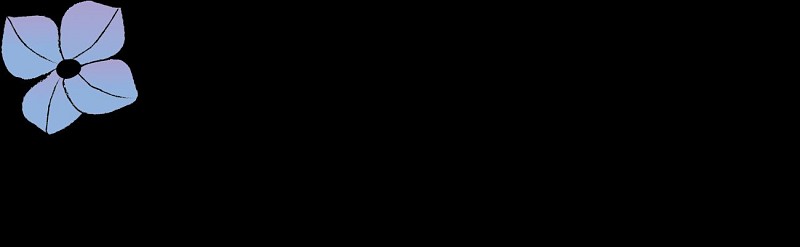 Spiel "Die Flucht von Physalis"