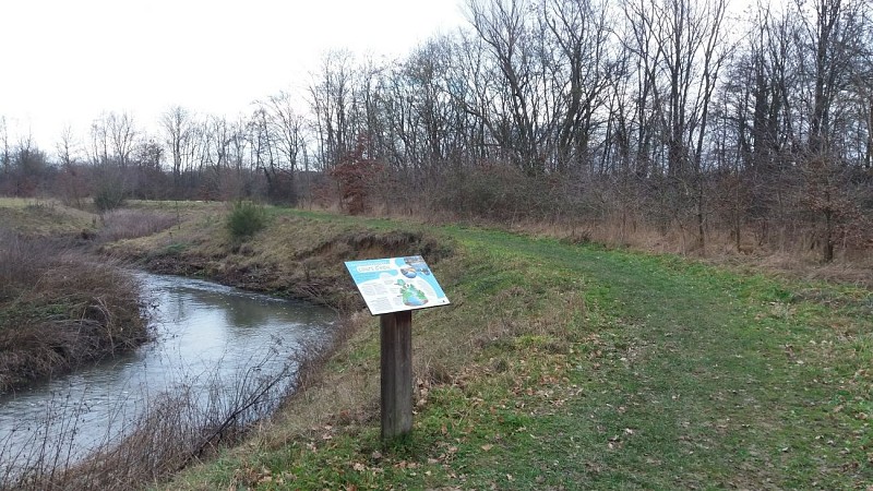 Plan d'eau de la Gravière et détournement de la Veyle