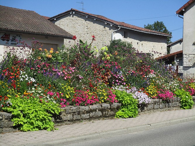 Die Blumenstraße von Revermont