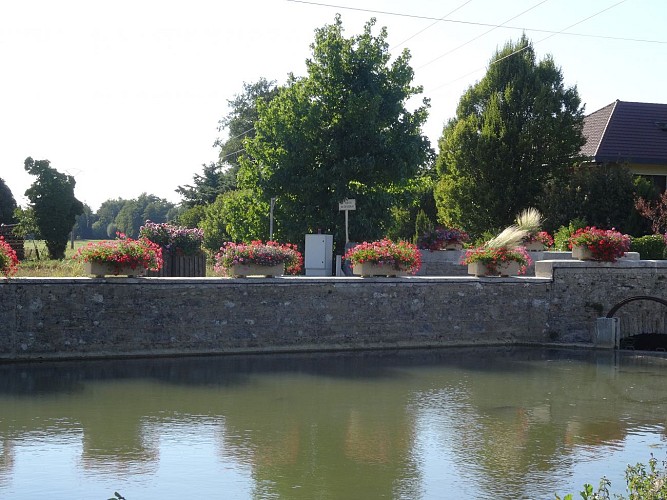 De bloemenroute van Revermont