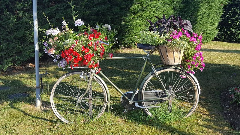 De bloemenroute van Revermont