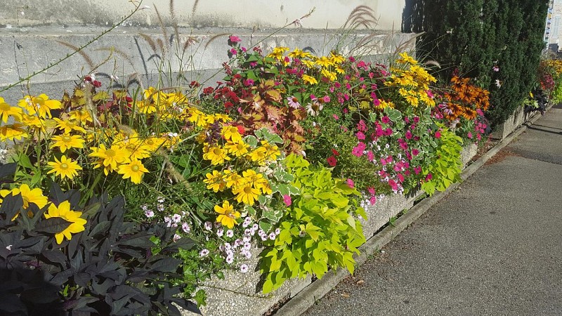 De bloemenroute van Revermont