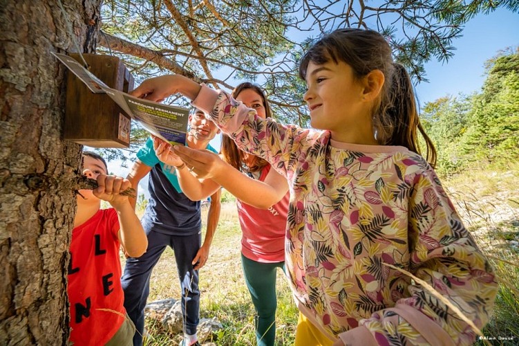 Parcours d'orientation ludique enfant