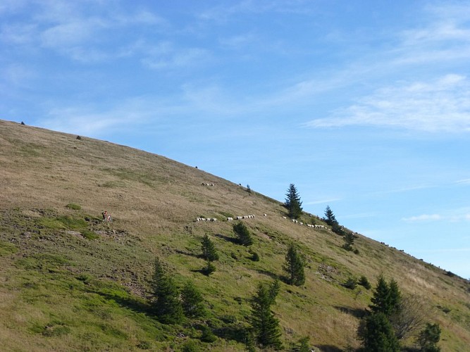Le Piret from Oulles - Hiking