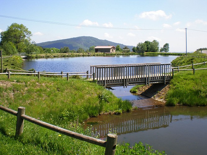 Fishing lake - Les Champas