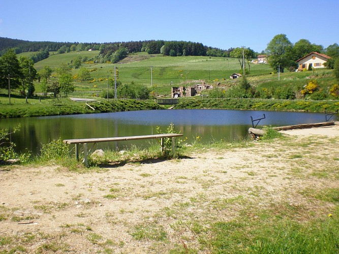 Etang de pêche - Les Champas