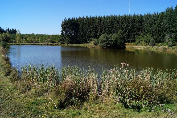 Zone de loisirs de Valorges