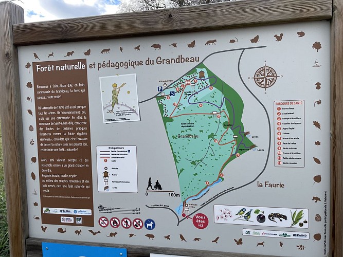 La forêt du Grandbeau