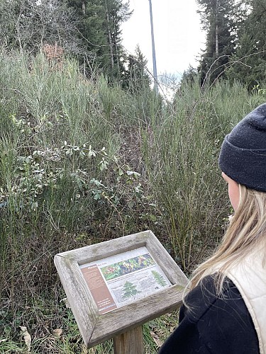 La forêt pédagogique du Grandbeau