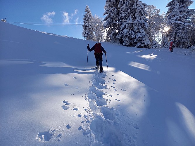 Snow showing Itinerary: L'Elise Allais
