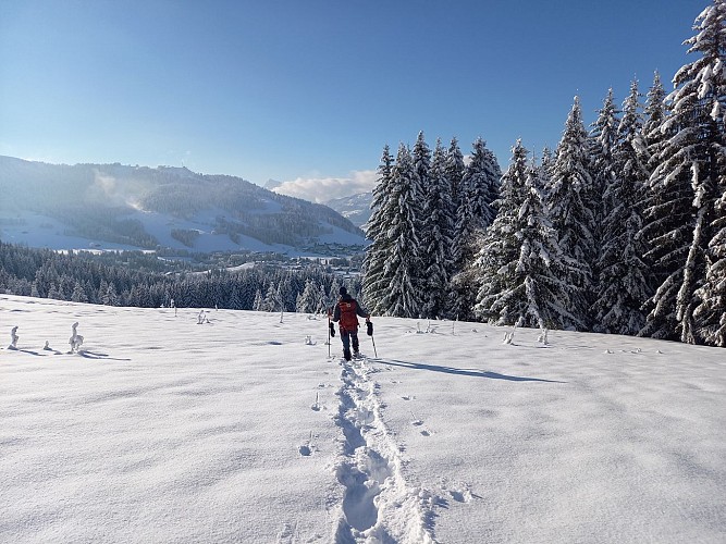 Snow showing Itinerary:Pierrot du Col