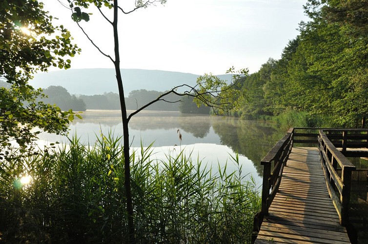 Floating footbridge of the Grange du Pin