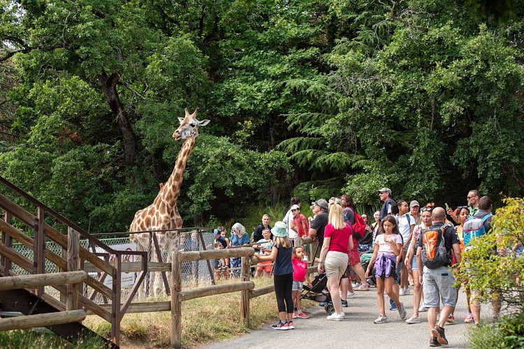 Safari de Peaugres