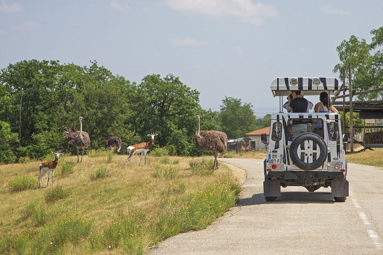 Safari de Peaugres