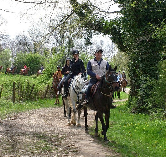 Equestrian loop around Marboz and its variants - Ain à cheval