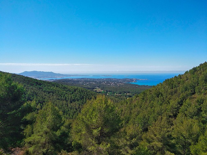 Paseos y naturaleza en el macizo de Gros Cerveau