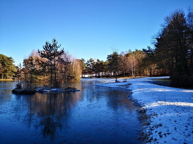 Étang de pêche de Saint-Saury