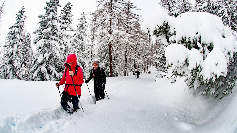 Pedestrian / Snowshoe Itinerary n°5 - The Sestriere Wood
