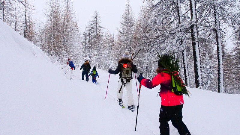 Pedestrian / Snowshoe Itinerary n°5 - The Sestriere Wood