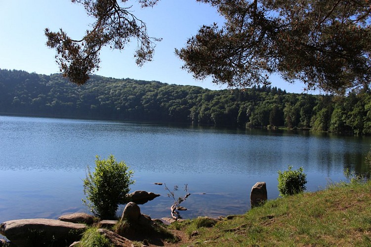 Aire de pique-nique - Gour de Tazenat