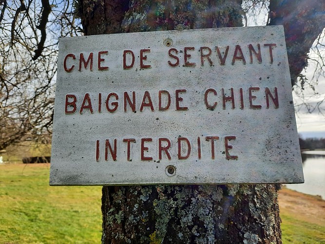 Baignade - Plan d'Eau de La Prade