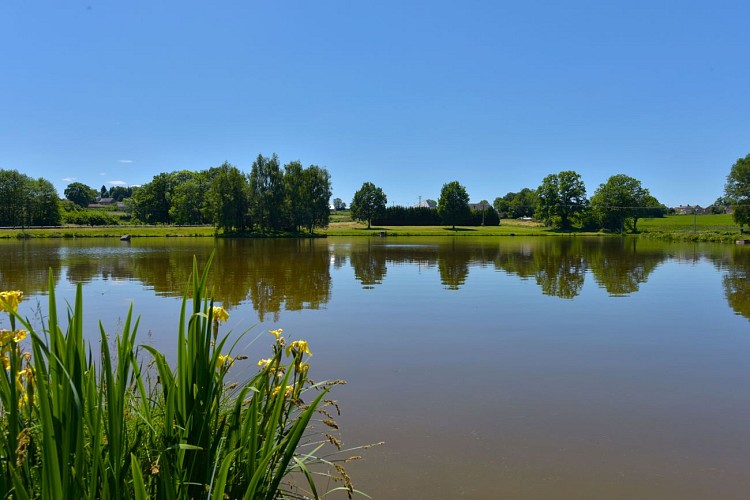 Fishing site - Plan d'Eau La Bregirolle