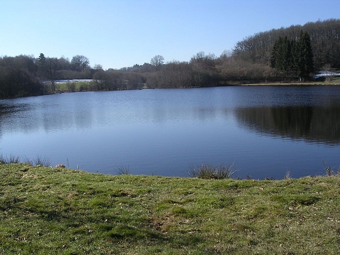 Fishing site - Étang des Marsins