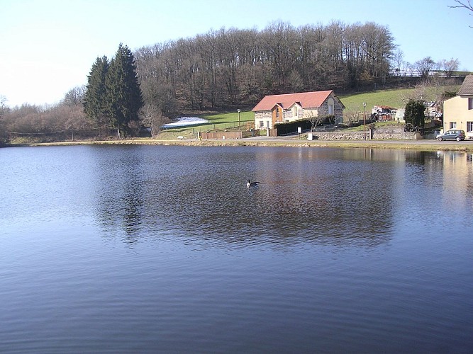 Site de pêche - Étang des Marsins