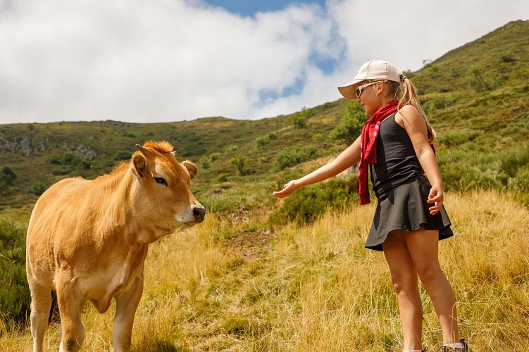 Seilbahn am Rombière