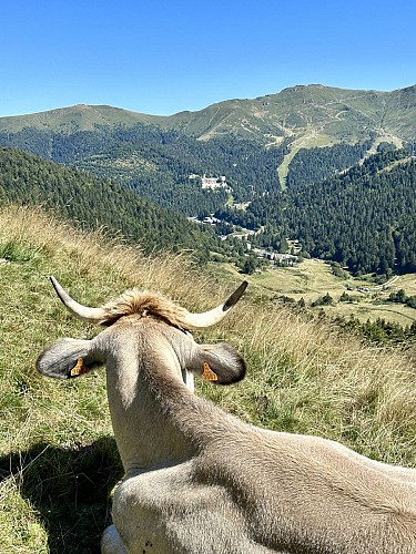 Télésiège de Rombière