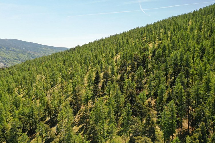 Espace Trail - Des sources aux gorges du Verdon